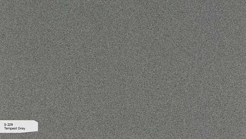 S 229 Пепельный Шторм / Tempest Grey