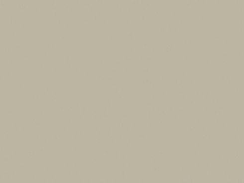  Elegant Gray