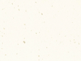 White Jasmine