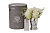 96CN-SP001 Диффузор Летний белый (Summer Posy white), спрей Шарантская роза (Charente rose) 2*5 мл