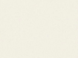  Cameo White