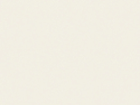  Cameo White