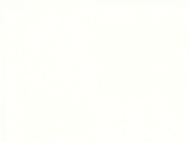  Sparking White