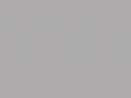  Silver Gray