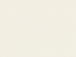  Cameo White