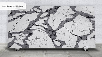 Q902 Patagonia Platinum