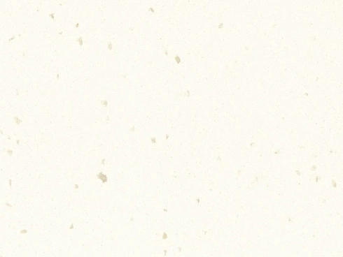 White Jasmine