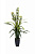 29BJ-911-33 Орхидея Цимбидиум (Cymbidium) искусств. лаймовая в горшке h110 см