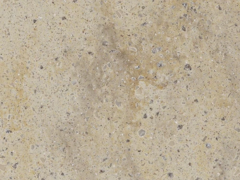  Burled Beach