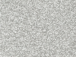  Pebble Terrazzo